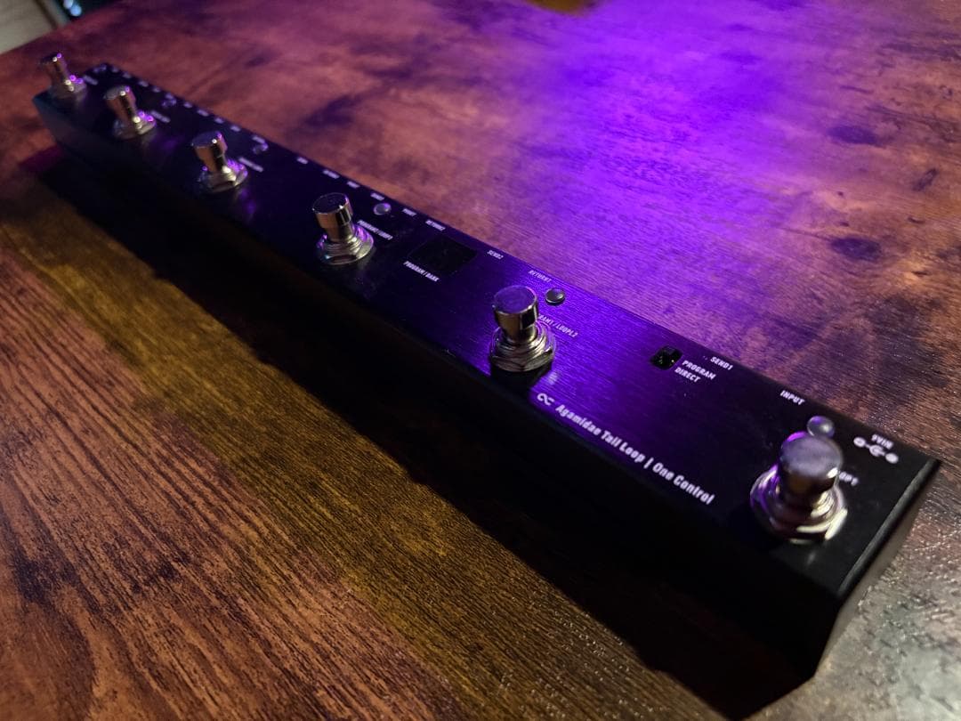 ギター One Control - Agamidae Tail Loop