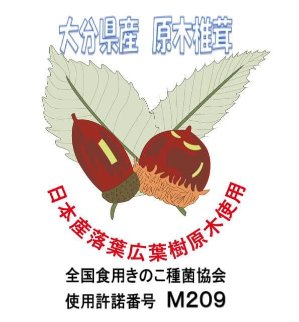ねねさまご予約専用 大分県特産 生どんこ椎茸「秋子」ダブル 2nd
