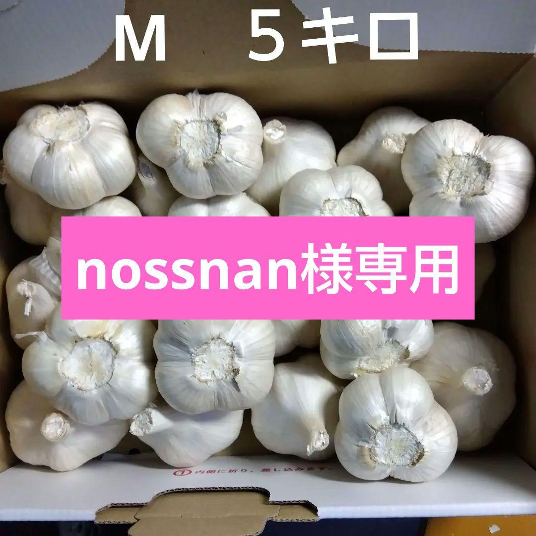 青森県産にんにく　М５キロ