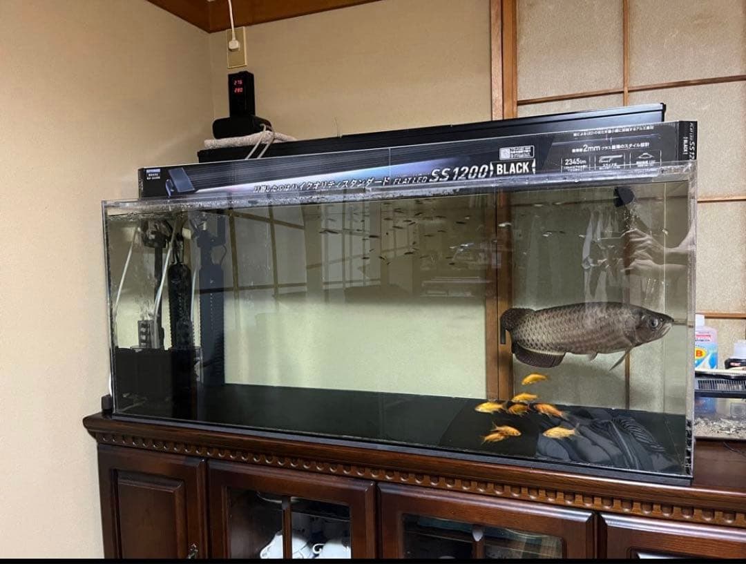 アクリル水槽 1200×500×500 上部濾過・交換ポンプ・蓋2枚！！