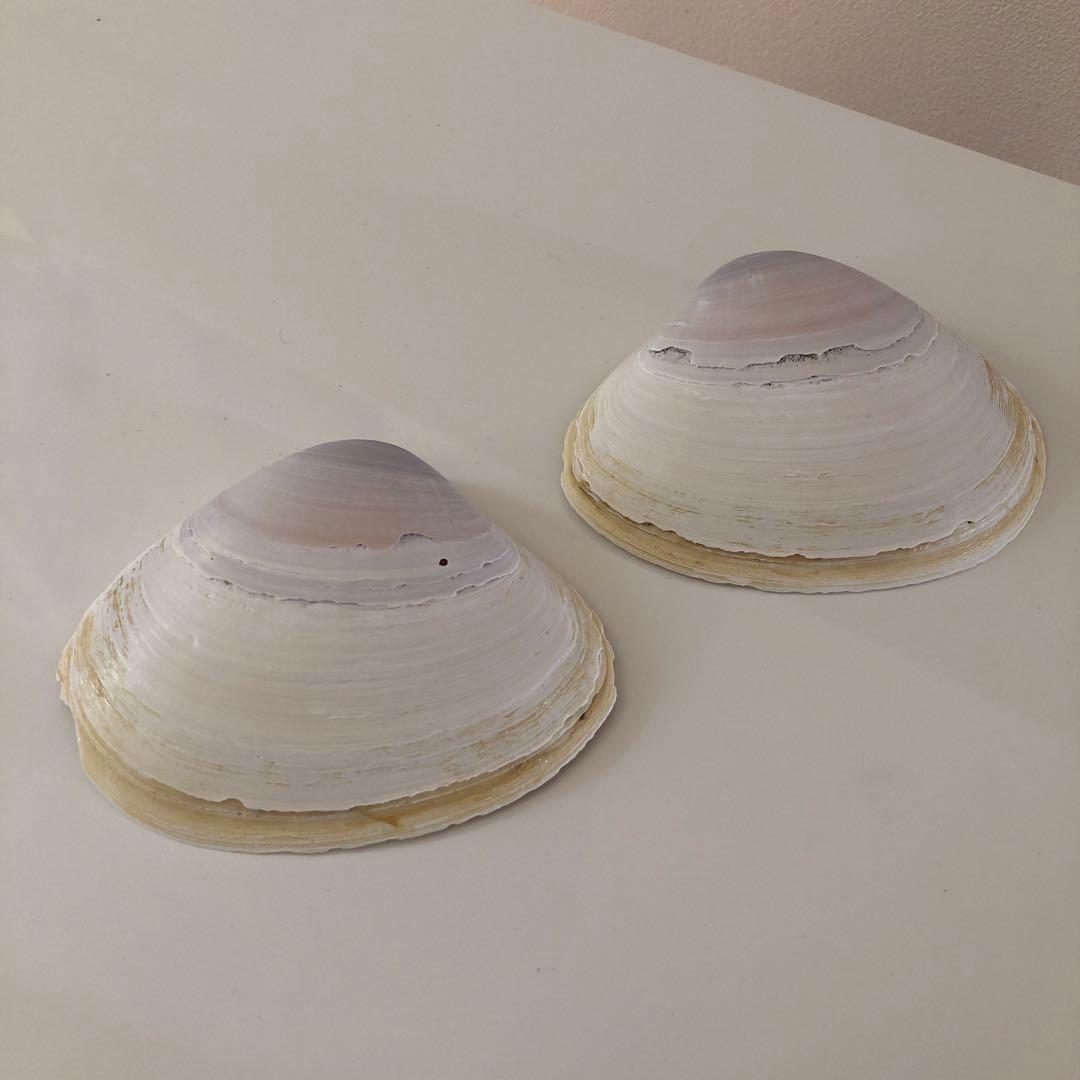 Okinawa セット11個