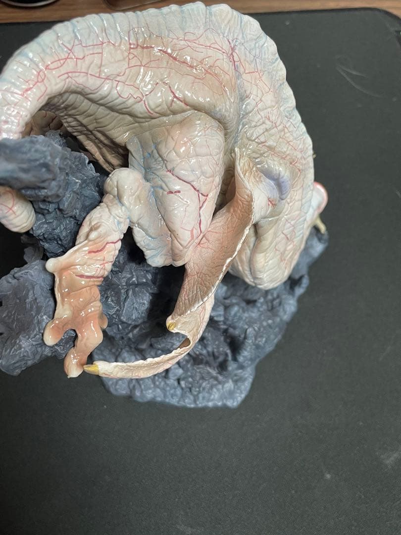 フルフル　クリエイターズモデル