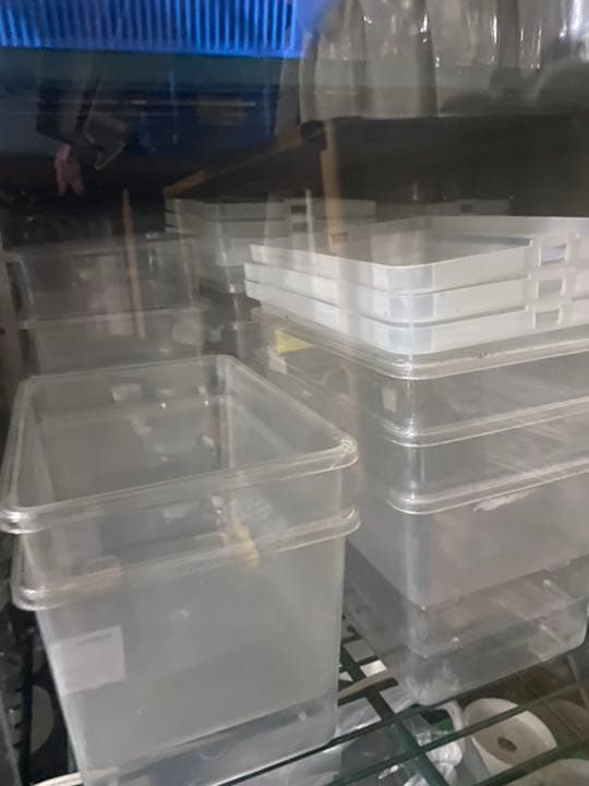 昆虫ブリードセット一式