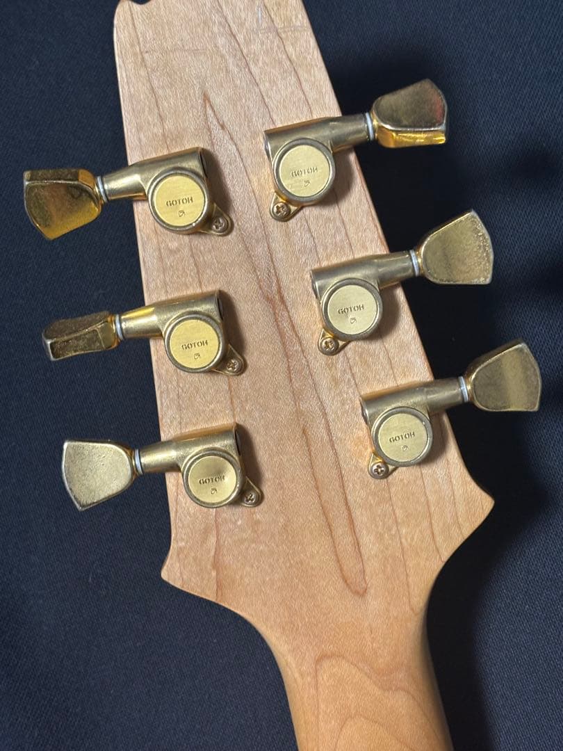 Aria Pro The Ventures AP エレキギター ジェリー マギー