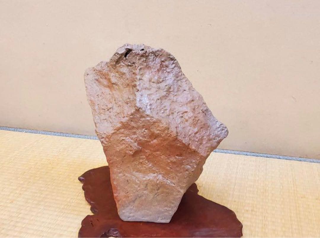 （No122）山野草　水草　鉢　龍聖作　令6