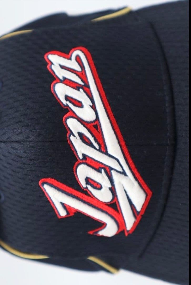 JAPAN プロコレクション MIZUNOPRO ジャパン 日本代表 ミズノプロ