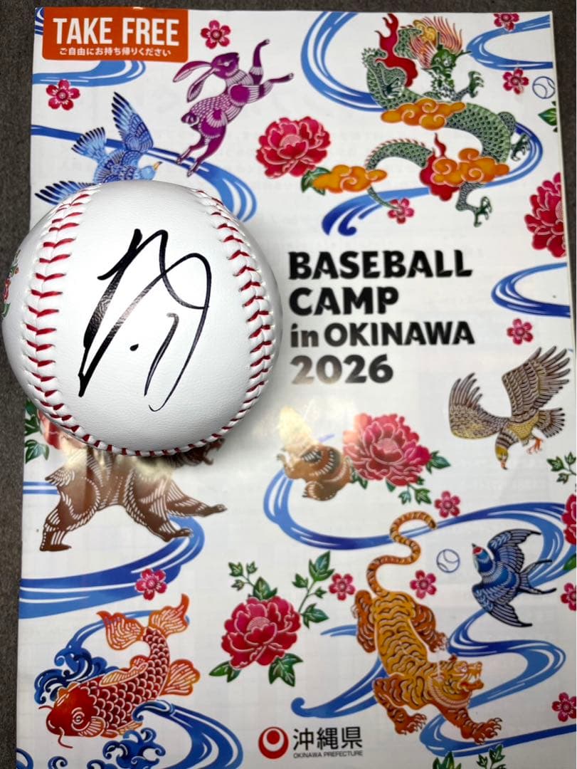 日本ハムファイターズ 伊藤大海 直筆サインボール 2026 沖縄キャンプ限定球