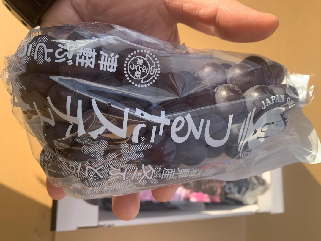【限定値引】青森県津軽地方産ぶどう　つるたスチューベン　約１０キロ　ご家庭贈答用
