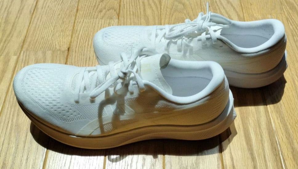 エボライドスピード3 28cm EvoRideSpeed 3 ホワイト 白 箱付