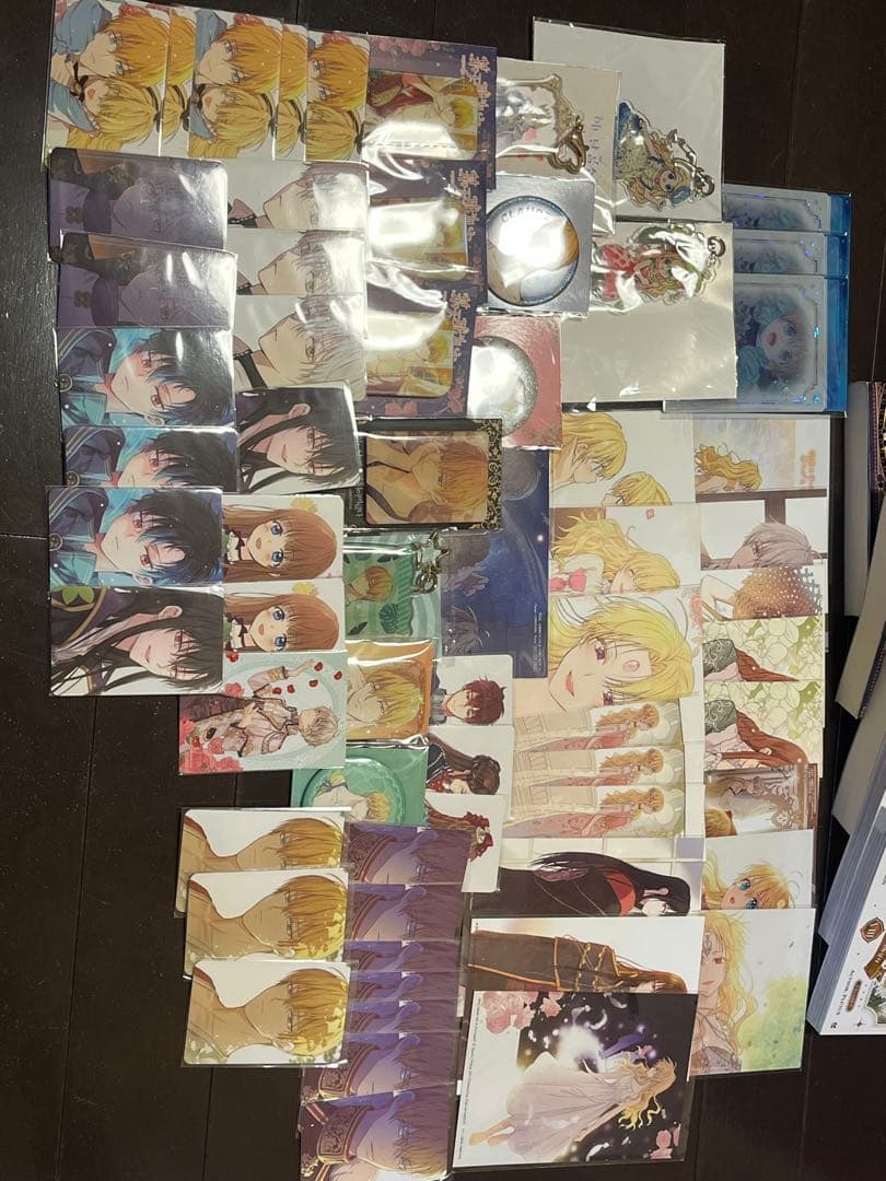 ある姫 ある日、お姫様になってしまった件について まとめ売り