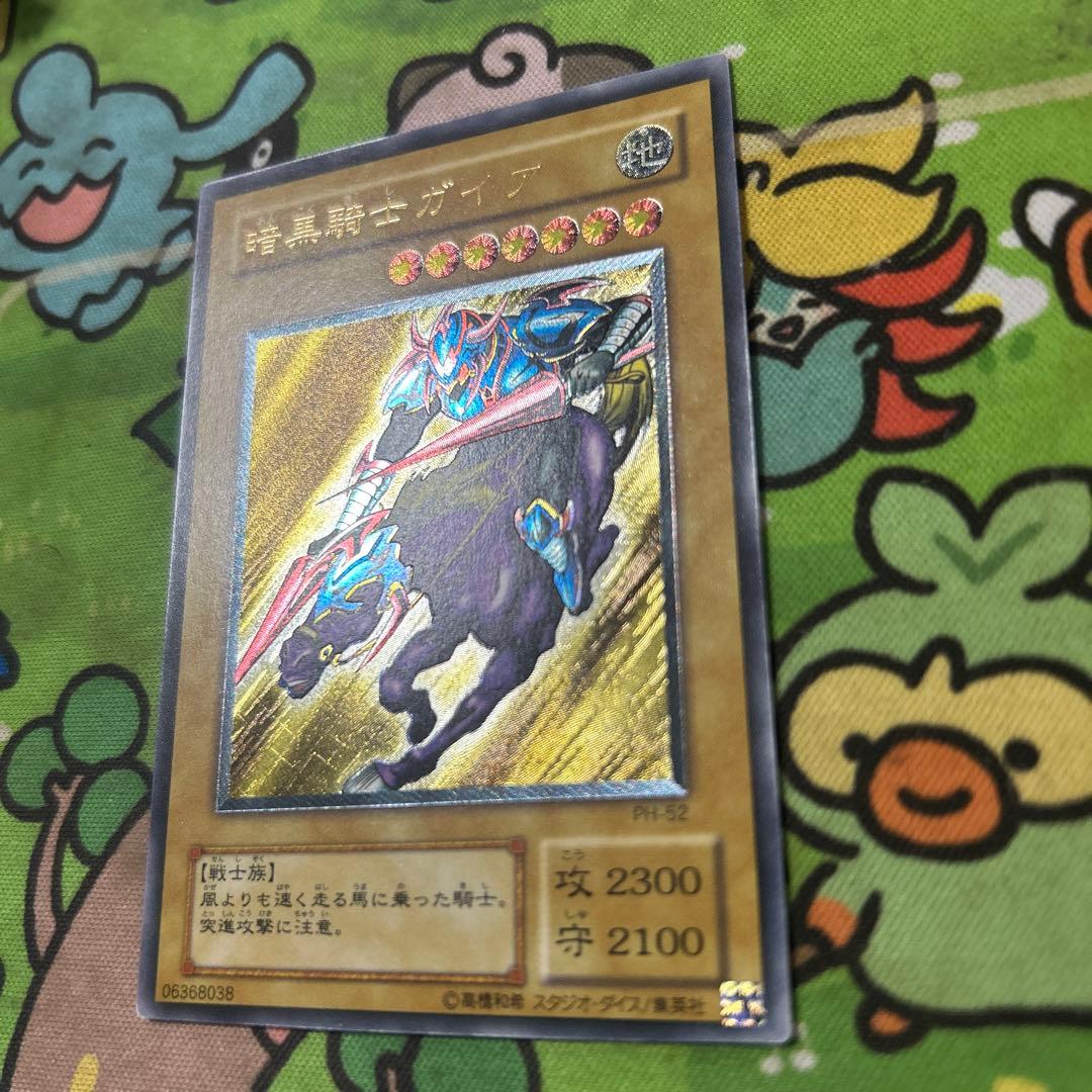 最安値出品　ガードナーはおまけ