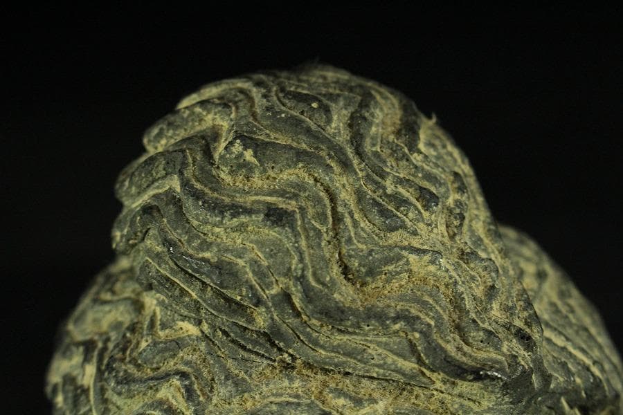 仏教美術 ガンダーラ仏頭(K-XA903)