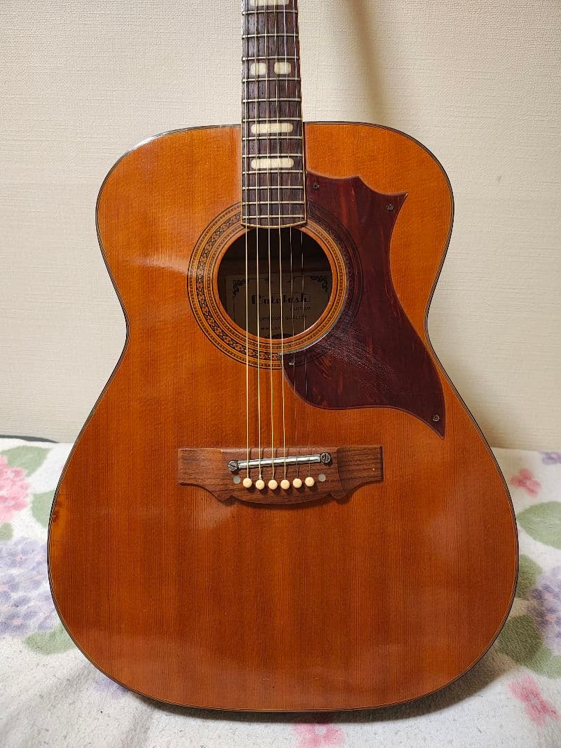 JAPANビンテージCalabash/ハードケース