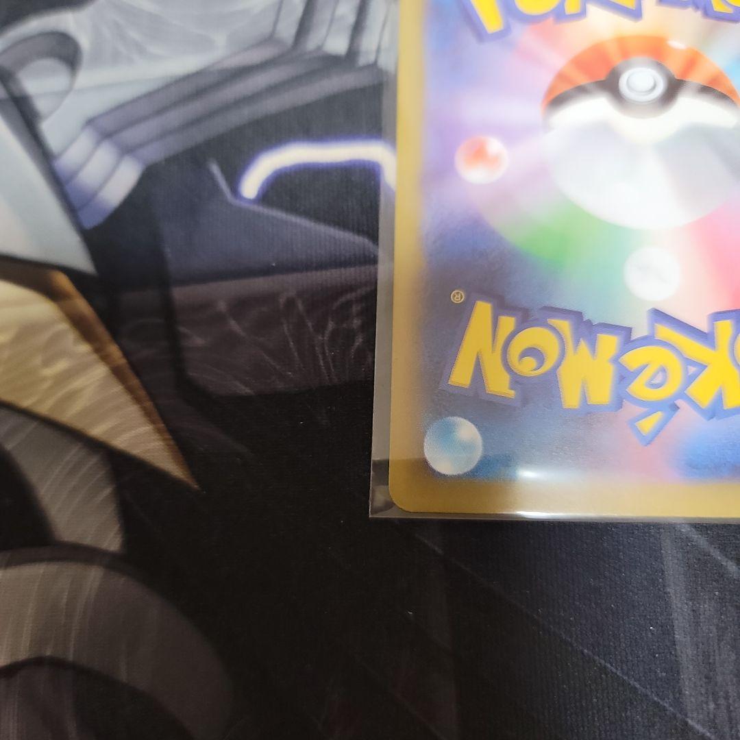 ニャースex　SAR　+仕切り4枚