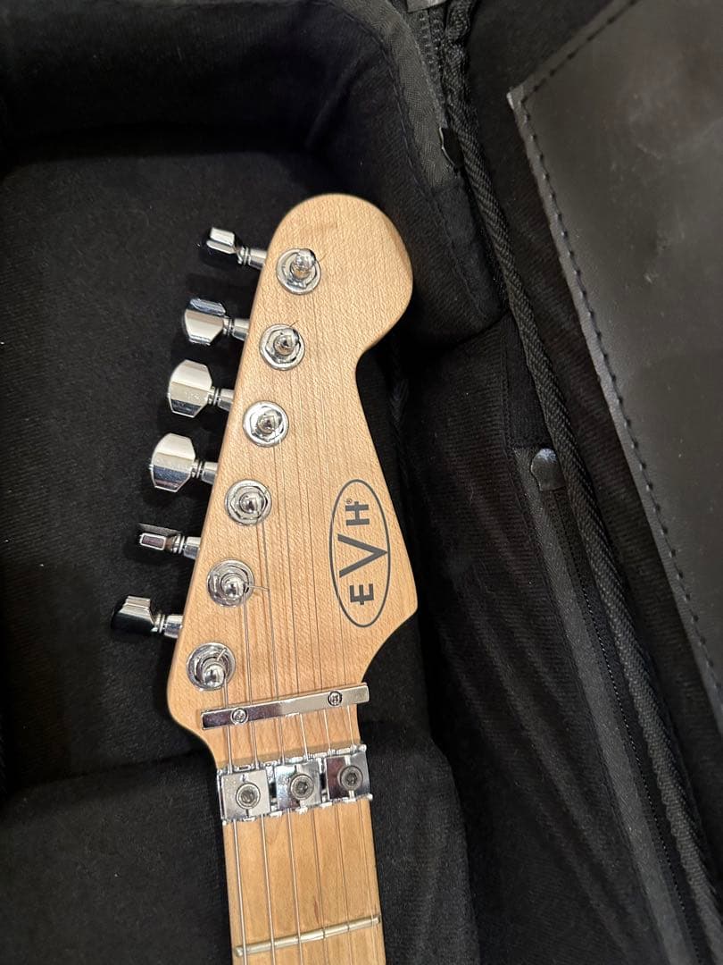 依頼者専用EVH Striped Red with Black Stripe