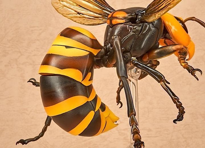 リボジオ／オオスズメバチ●海洋堂18cmリボルテック可動生物フィギュア松村しのぶ