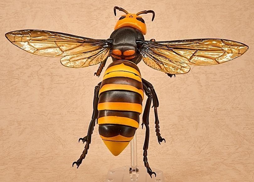 リボジオ／オオスズメバチ●海洋堂18cmリボルテック可動生物フィギュア松村しのぶ