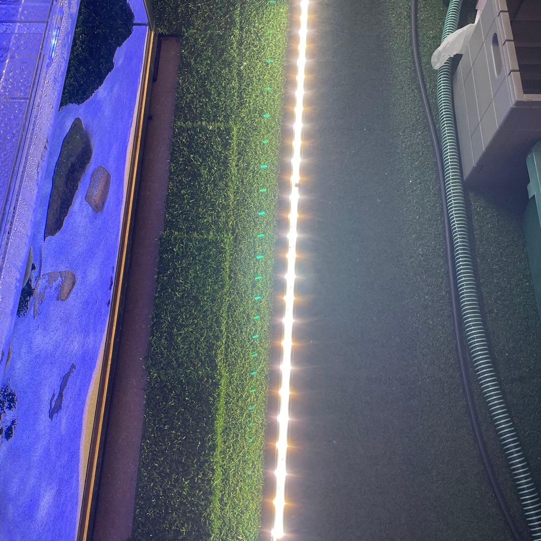 中古　ゼンスイ　マルチカラー水中LED 150センチ