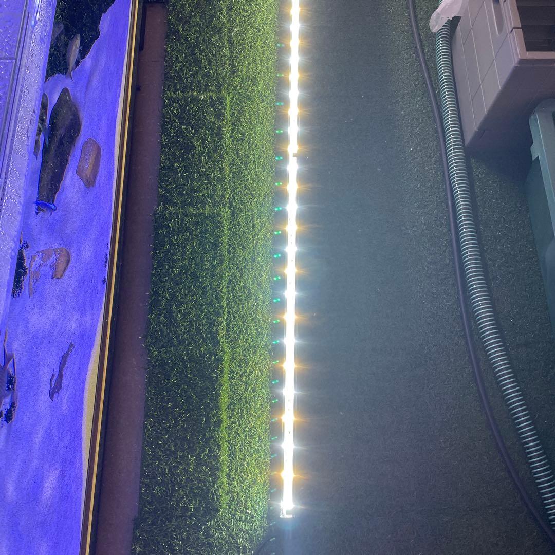 中古　ゼンスイ　マルチカラー水中LED 150センチ