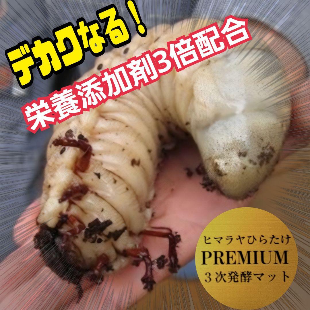 カブトムシ幼虫が巨大化！プレミアム3次発酵マット【200リットル】産卵にも抜群！