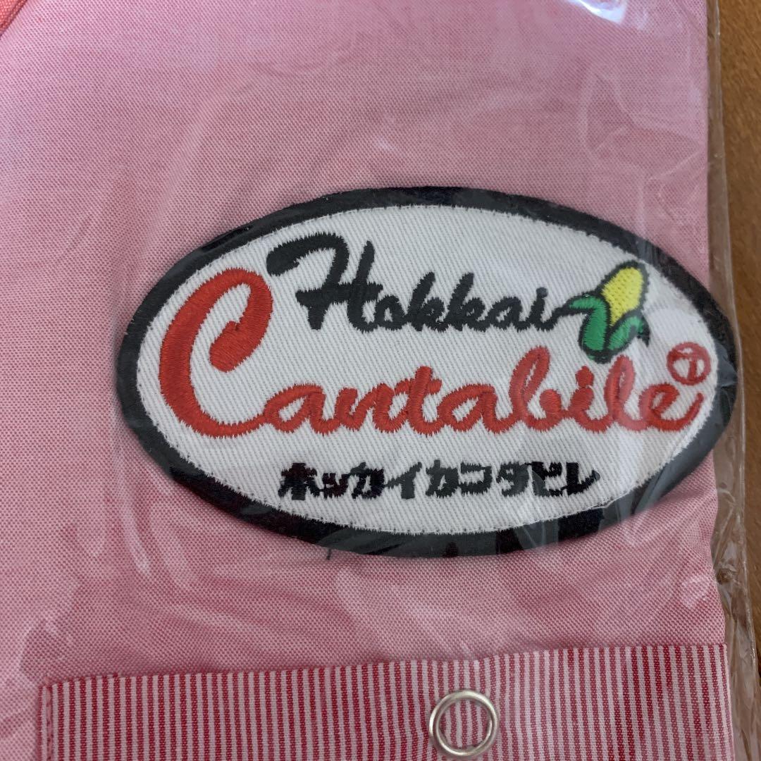 奥田民生　ワークシャツ　RSOT ライジングサンOTvr XLサイズ