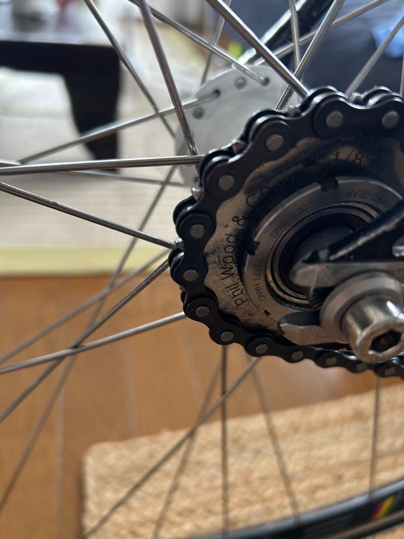 Philwood 白ハブ ホワイト 32H