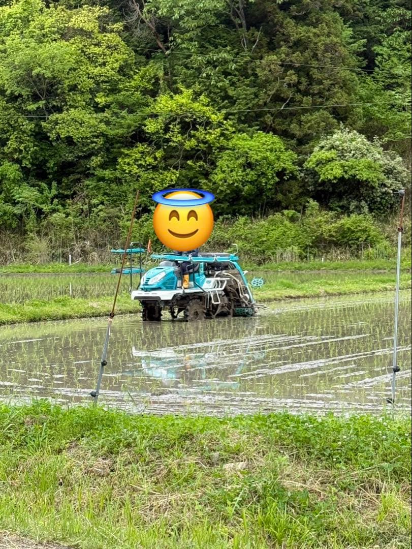 令和7年産【丹波篠山コシヒカリ】玄米10kg 7年産も極上米/食味値87点