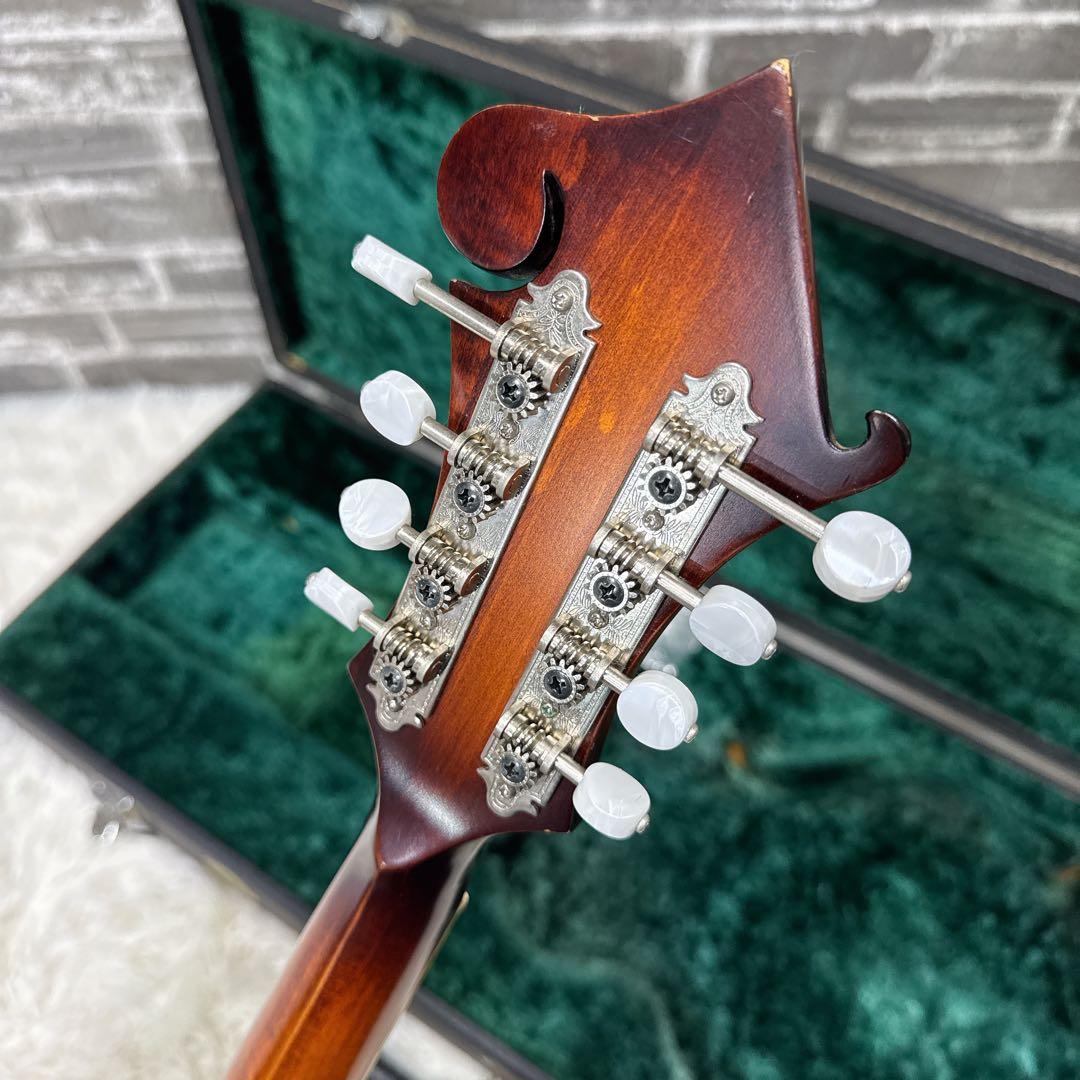 Blue Bell F-15 高級フラットマンドリン 飴色塗装 フジゲン製造