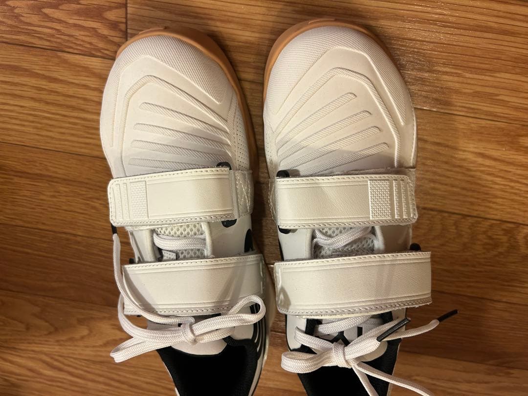 【美品】TYR L-2リフター　25.1cm