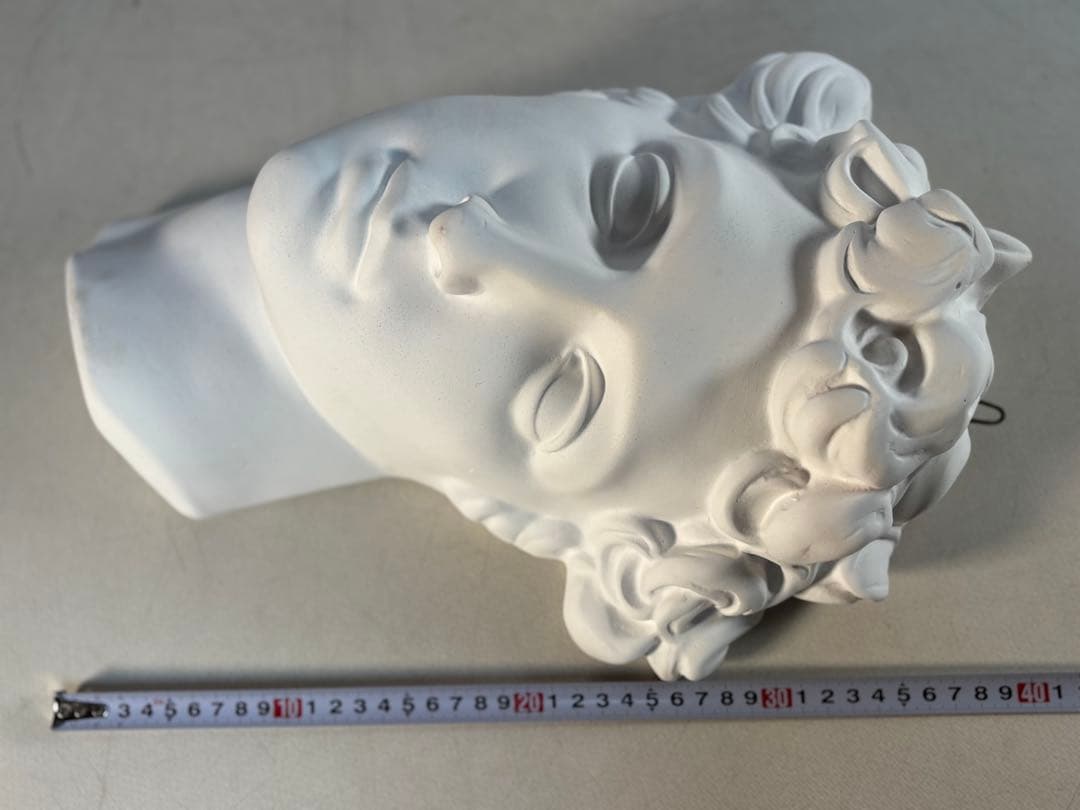 石膏像　メディチ　デッサン　半面像　美術　絵画　オブジェ　彫刻　アート