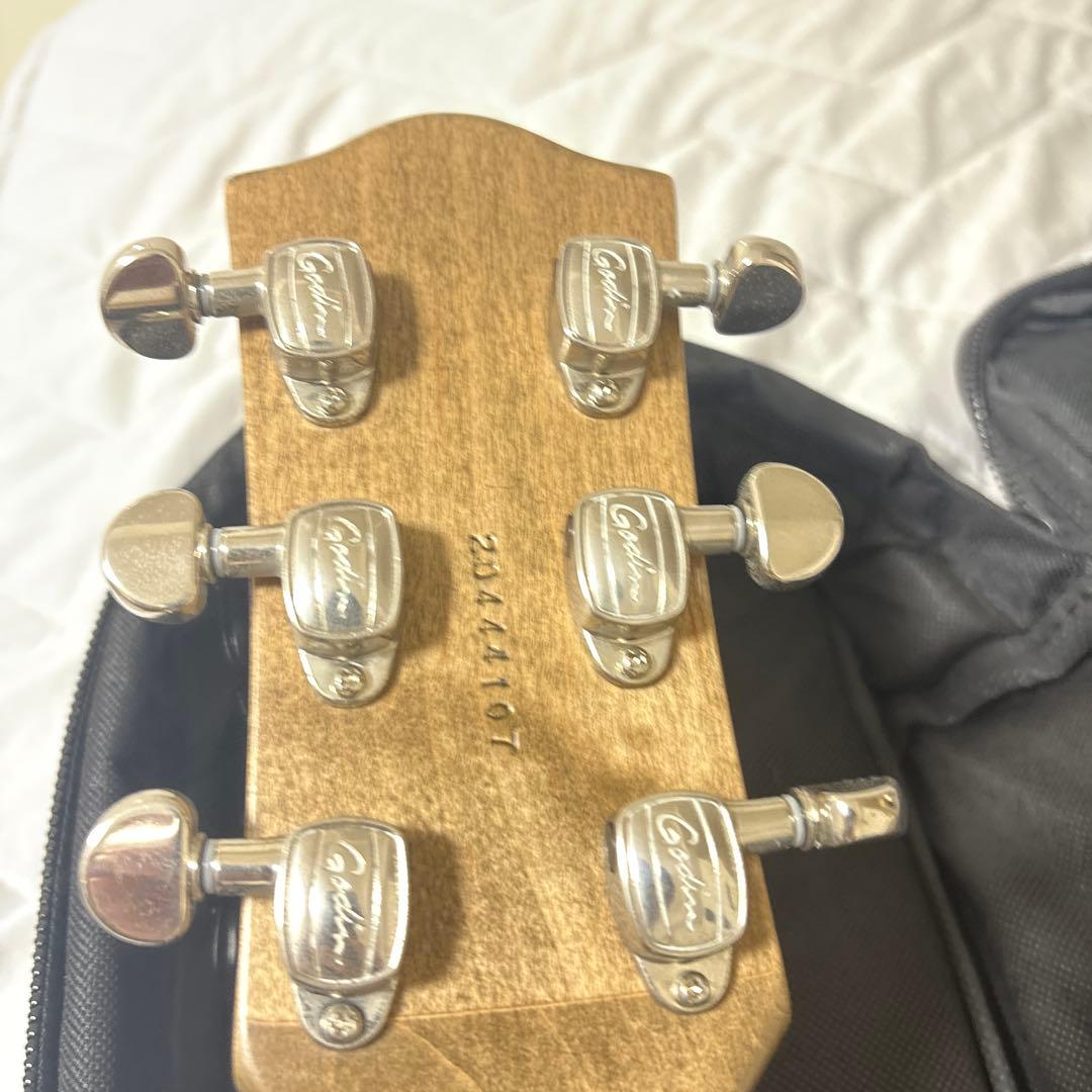 Godin Radium エレキギター