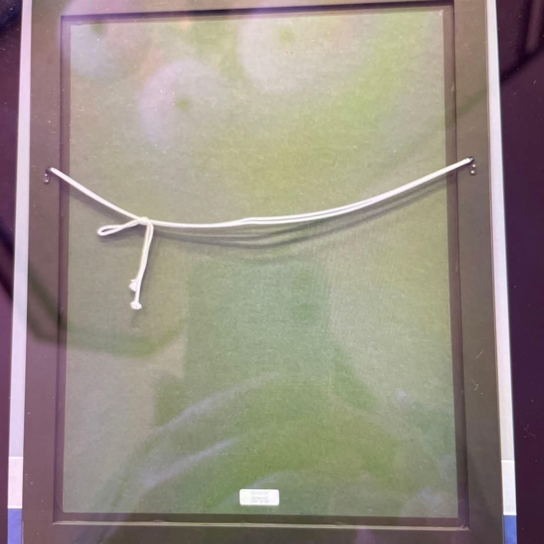 ❤️カシニョールのリトグラフ　(森の中の小舟)72×53cm額100×81cm