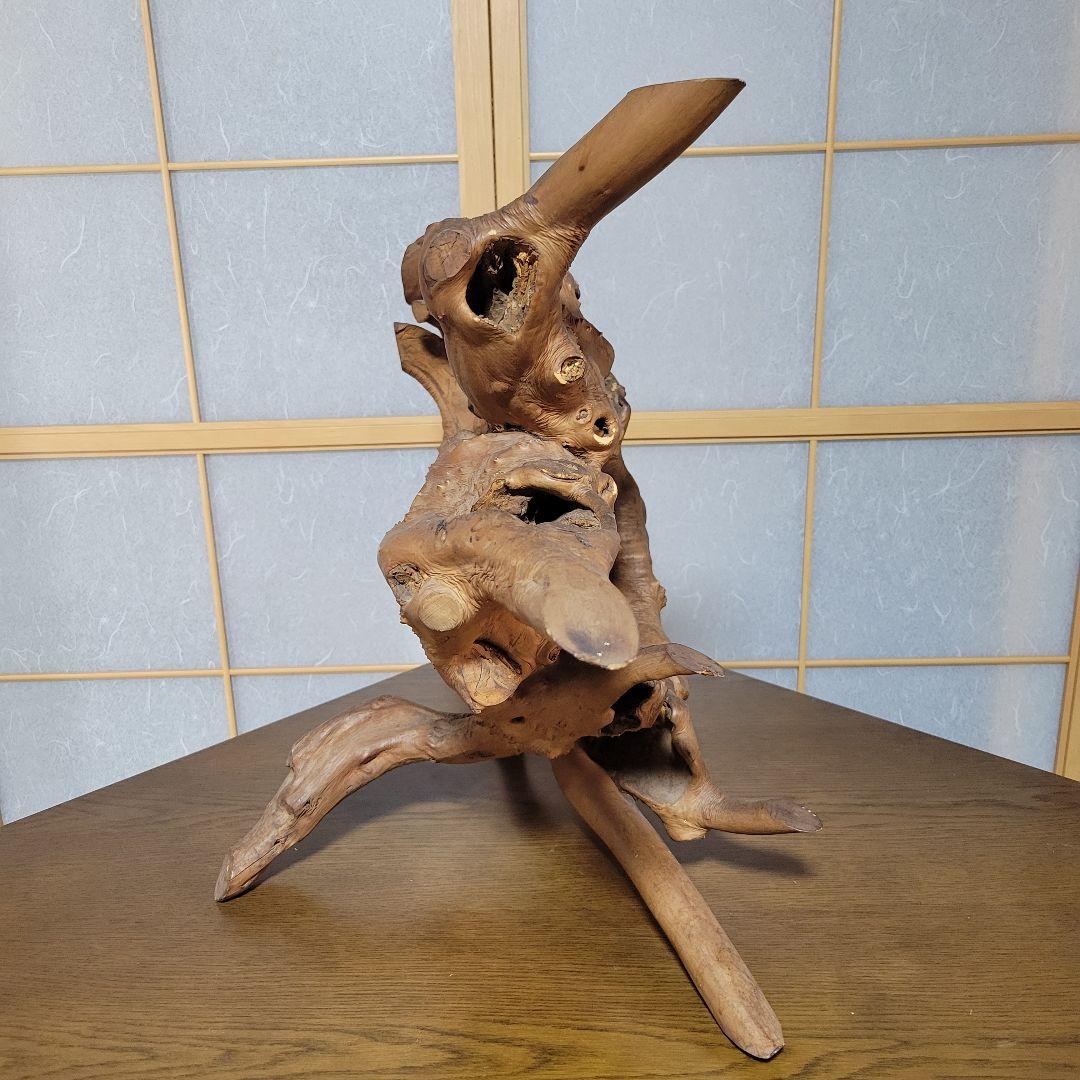 自然木 天然木 木根瘤造形 木根工芸 　オブジェ