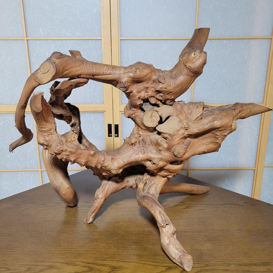 自然木 天然木 木根瘤造形 木根工芸 　オブジェ