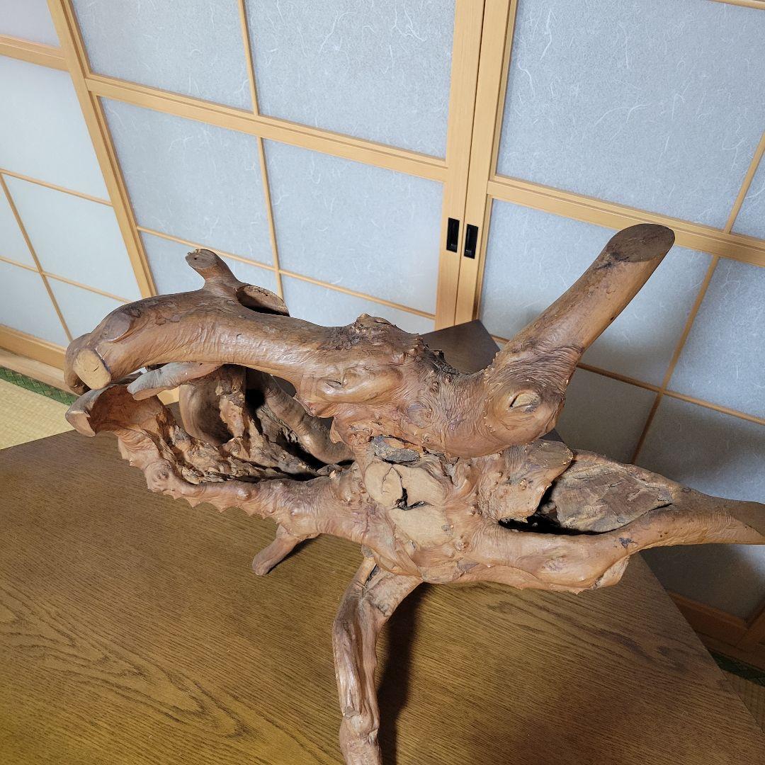 自然木 天然木 木根瘤造形 木根工芸 　オブジェ