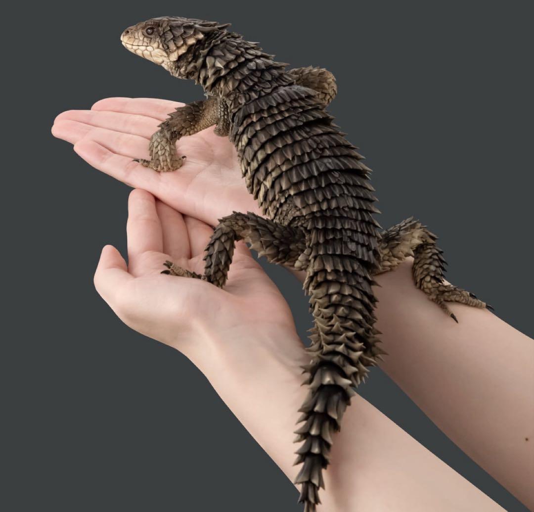 いきもの大図鑑アルティメット オオヨロイトカゲ 新品未開封 ④