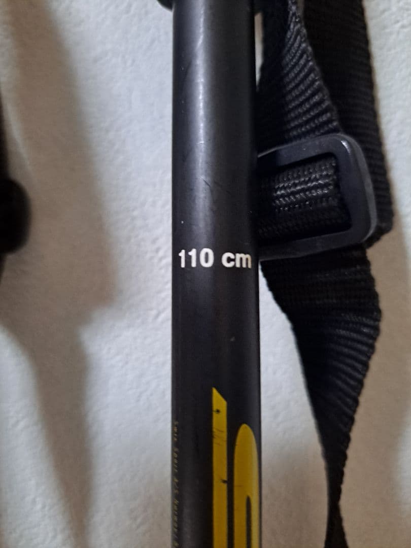 Swix World Cup Pro スキー ストックJr 110cm