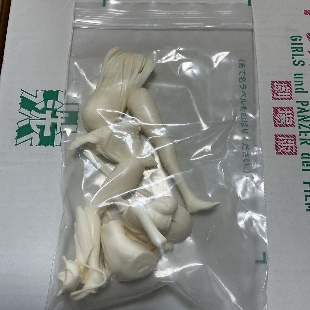 1/8 ガールズ＆パンツァー 西住しほ　水着　ガレージキット　ガルパン