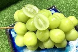 マ*ー様 【岡山県特産】 5kg 高級シャインマスカット! 特大粒.大房 7房