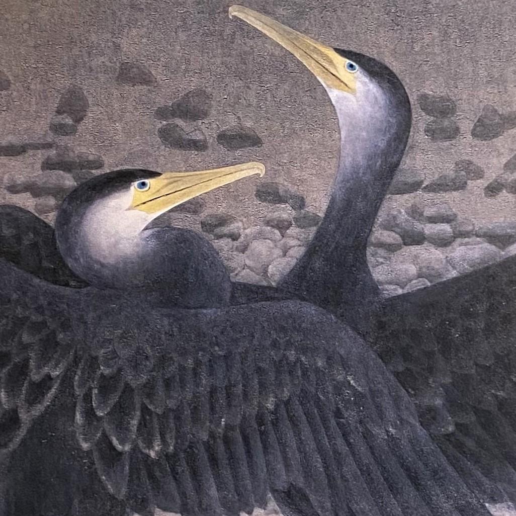 斎藤満栄、【鵜】、希少な額装用画集より、新品額装付、状態良好