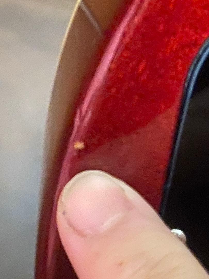 TOKAI LS186CS 美品！激鳴り、高音煌びやかでサステイン抜群！！