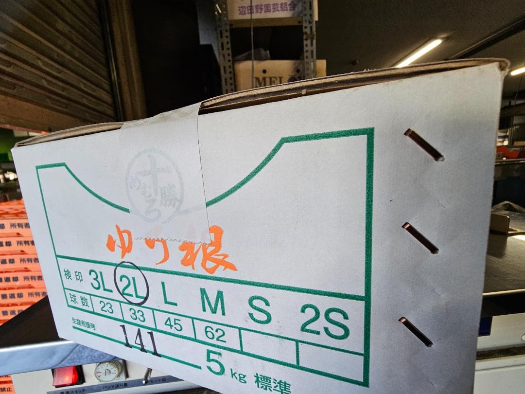 ゆりね　百合根　特大2L　5K　33個入り