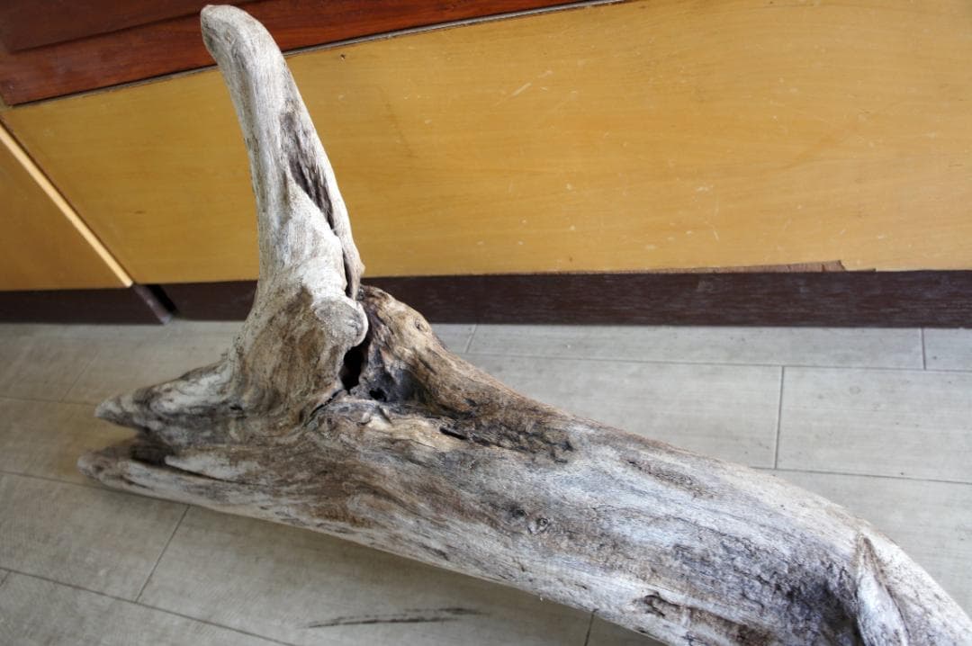 流木 インテリア 大型サイズ オブジェ　飼育ケージ 登り木 爬虫類 送料無料