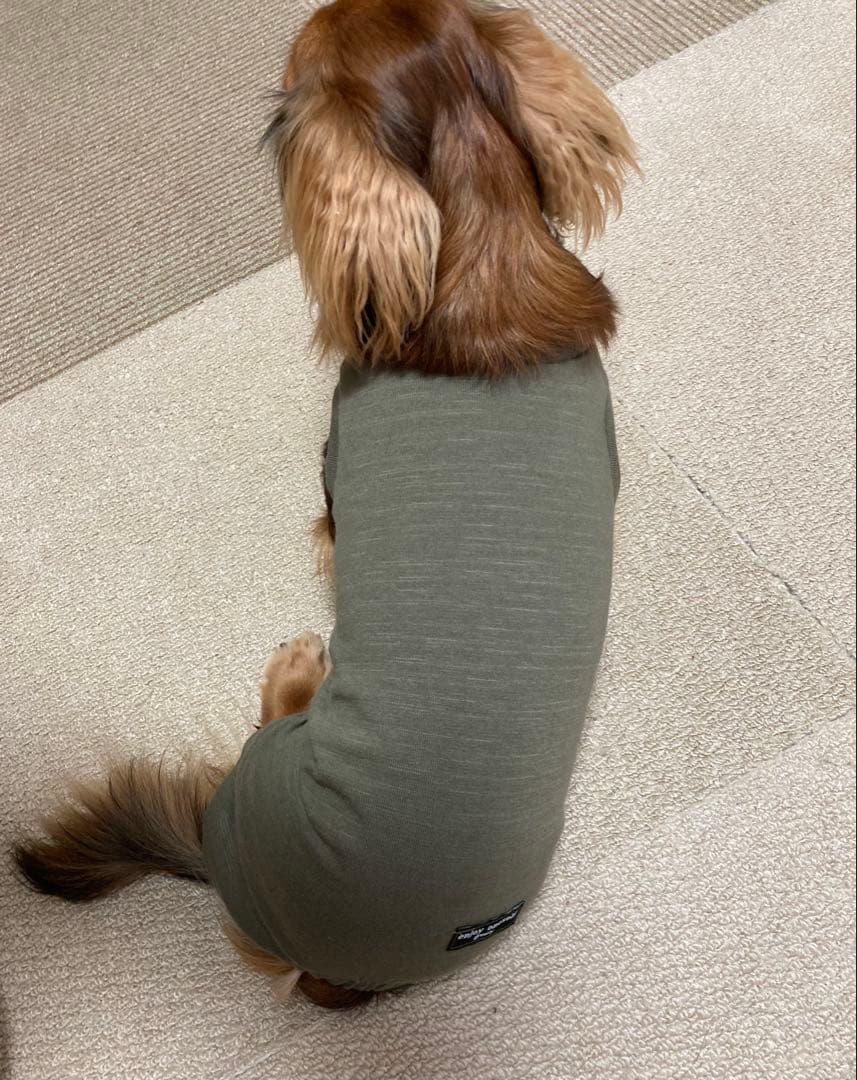 ダックスフンド　商品受付ページ　ロンパース　犬服　わんこ服　カーキー　ダックス