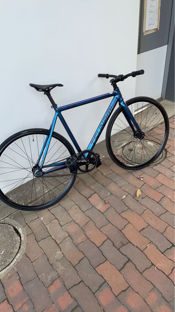 tsunami snm100 chameleon ピストバイク 都内引取