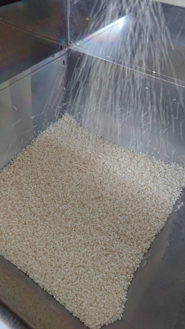 コシヒカリ 20kg 白米 減農薬 精米済み お米