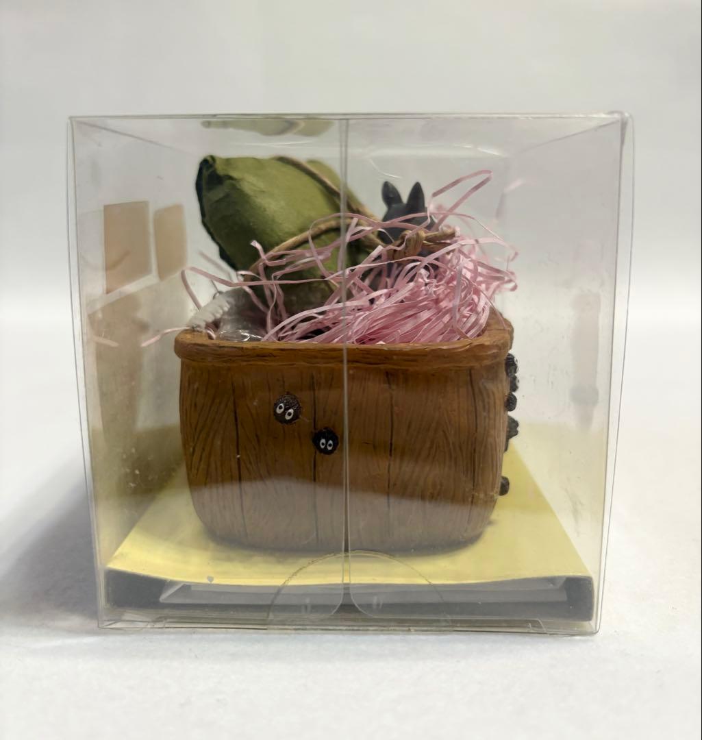 となりのトトロ プチ栽培セット ヒメコスモス (壁) スタジオジブリ