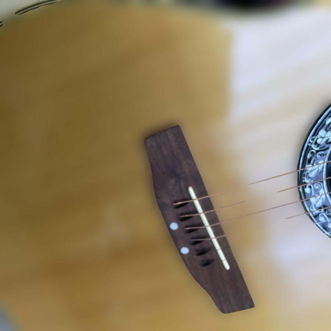 Applause AE-138 アコースティックギター