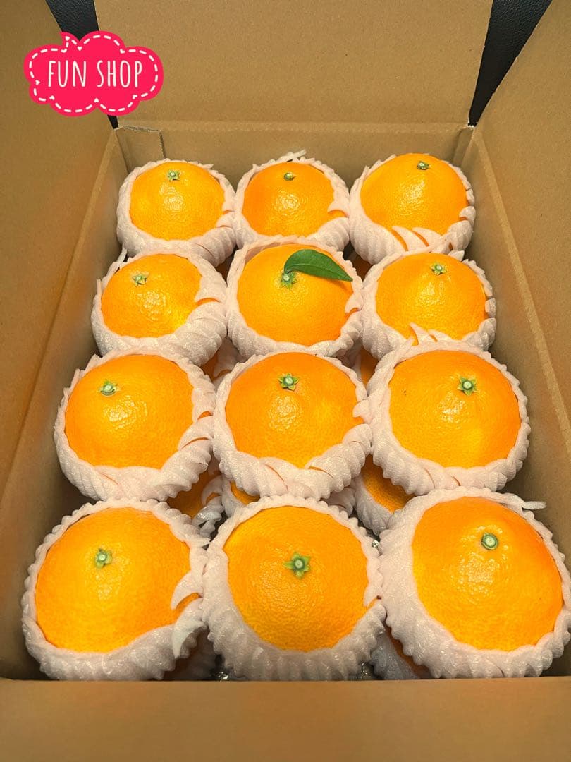 紅まどんな(贈答用)⚠特選L玉・おすすめーーー