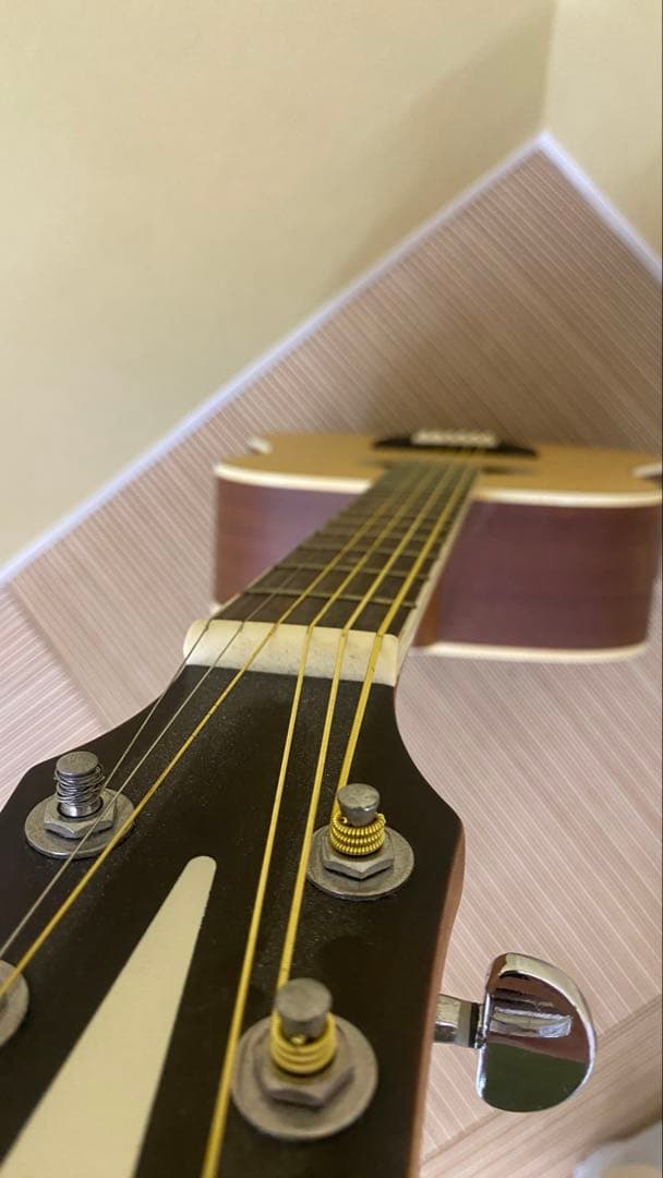 Orangewood T110 NS アコースティックギター